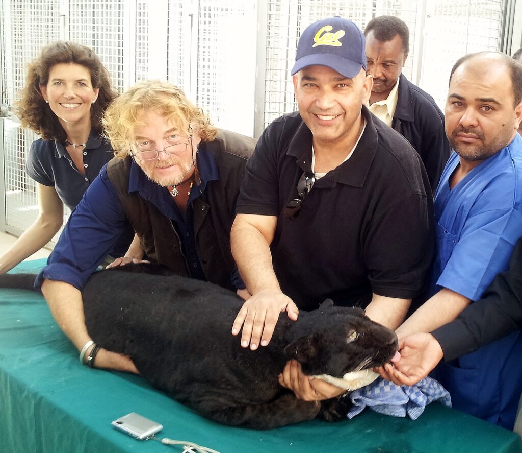 Behandlung Schwarzer Panther in Libyen