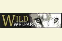 WildWelfare