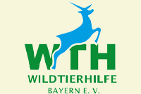 Wildtierhilfe Bayern