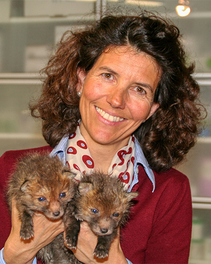 Tierärztin Julia Maltzan