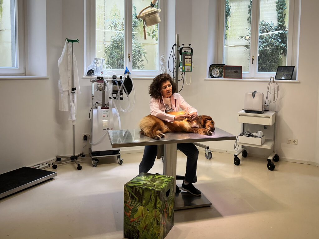 Julia Maltzan behandelt einen Hund in ihrer Praxis
